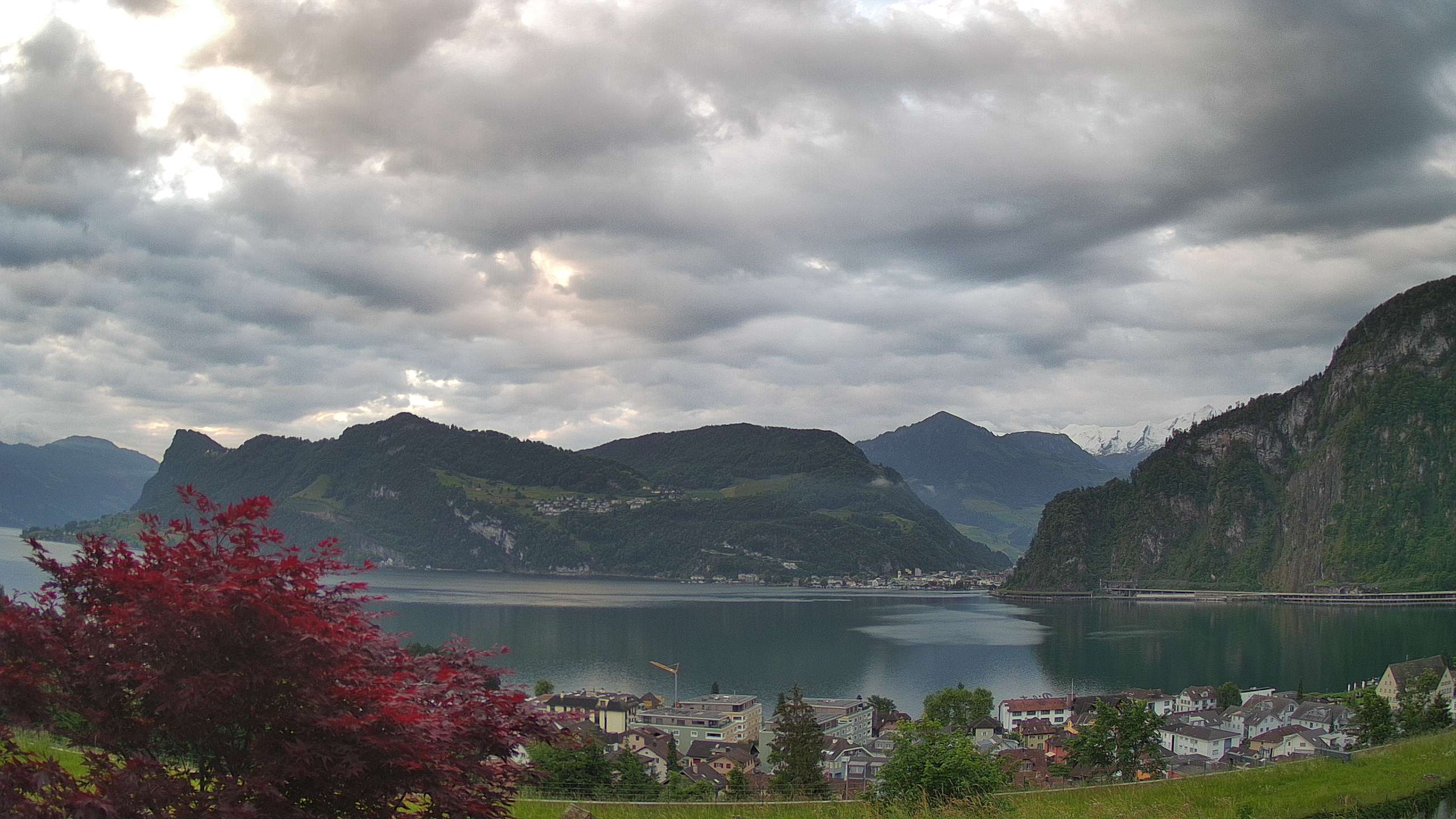 Webcam Vierwaldstättersee